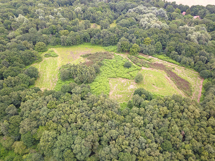 aerial photo from drone