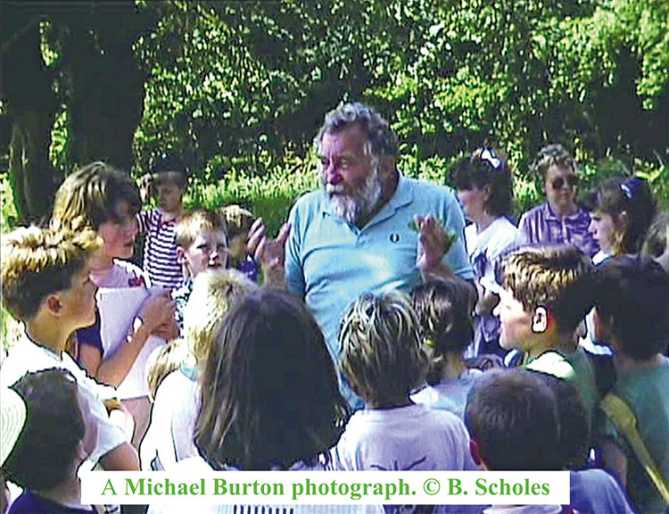 David Bellamy