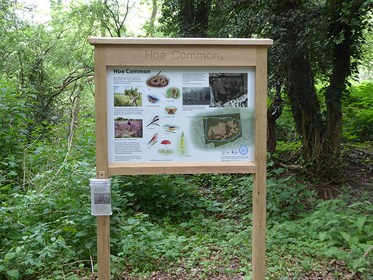 common panel