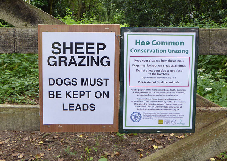 grazing
notices