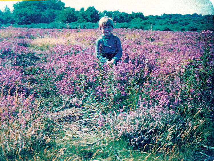 Harry in heather