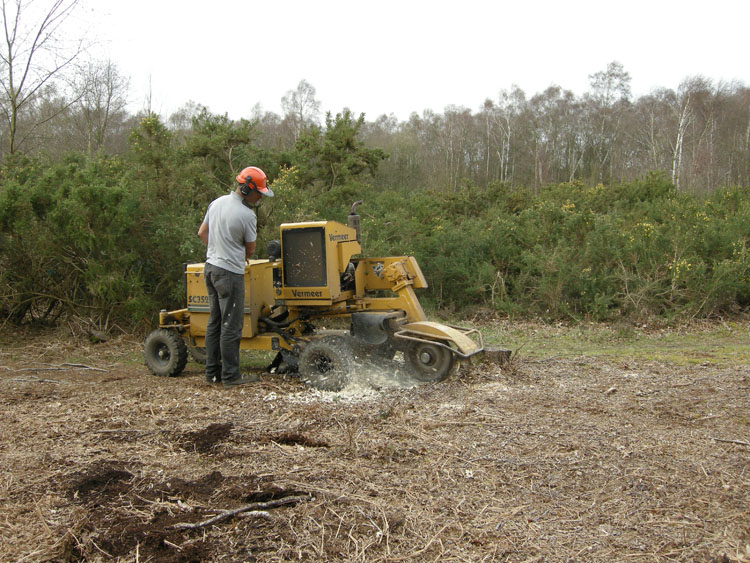 Stump grinding