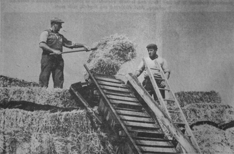 barley stacking