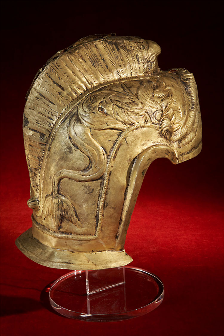 helmet