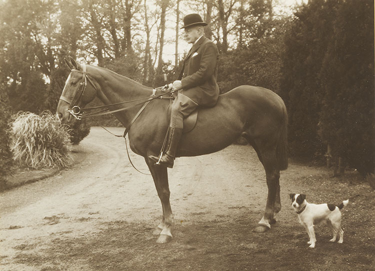 P D
Chapman