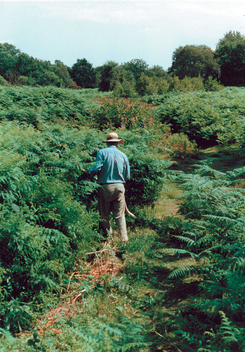 Robin Goolden scything